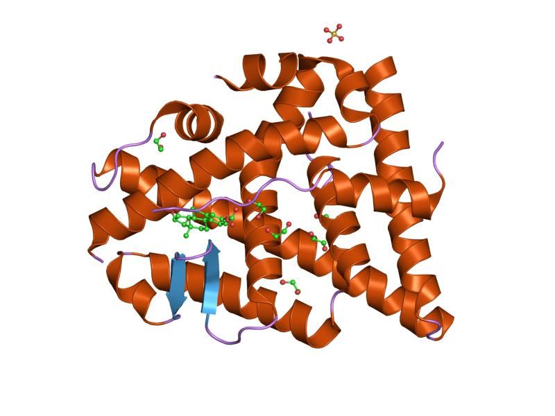 File:PDB 2j7y EBI.jpg