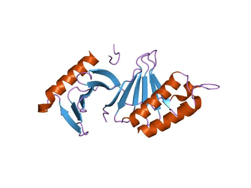 File:PDB 2ojx EBI.jpg