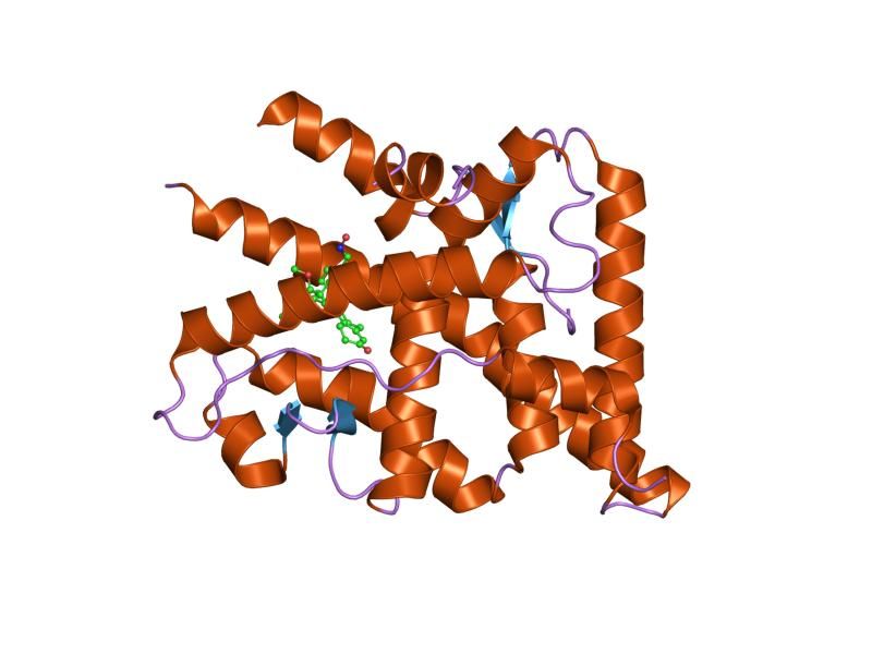 File:PDB 2ovm EBI.jpg