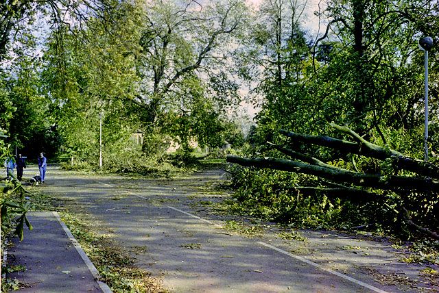 File:Storm Damage 1987.jpg