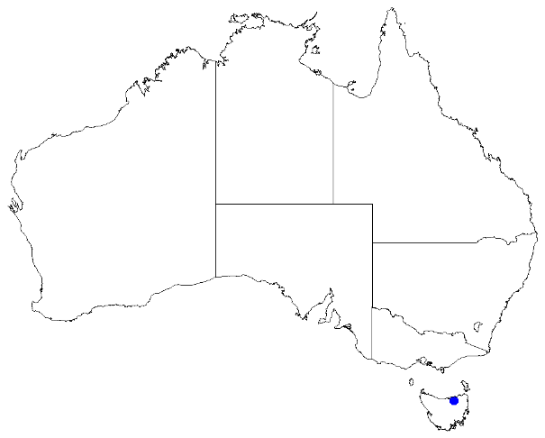 File:Boronia hemichiton DistMap56.png