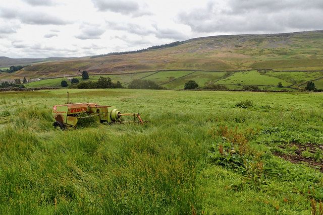 File:Field near High Eskeleth (geograph 6227267).jpg