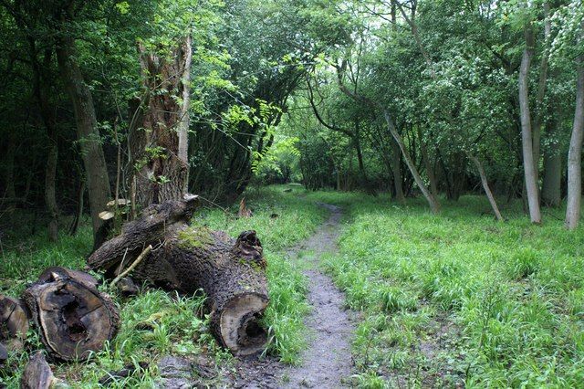 File:Jurassic Way - geograph.org.uk - 174162.jpg