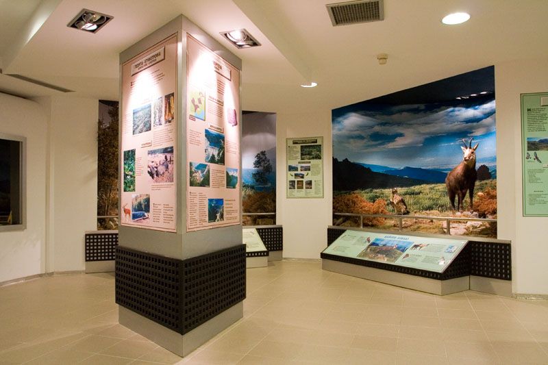 File:Macedonian Museums-112-Fysikis Istorias Paranesti-496.jpg