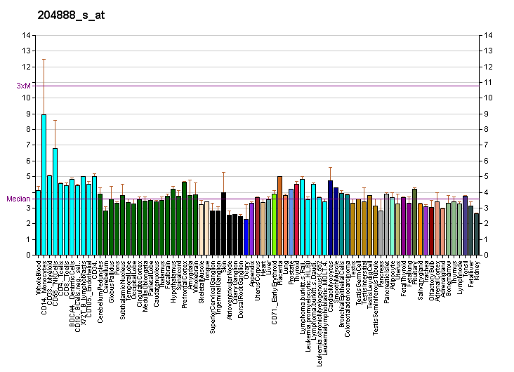 File:PBB GE NEURL 204888 s at fs.png