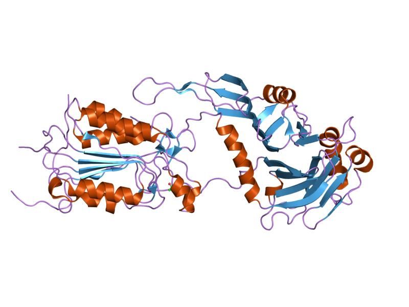 File:PDB 1i4e EBI.jpg