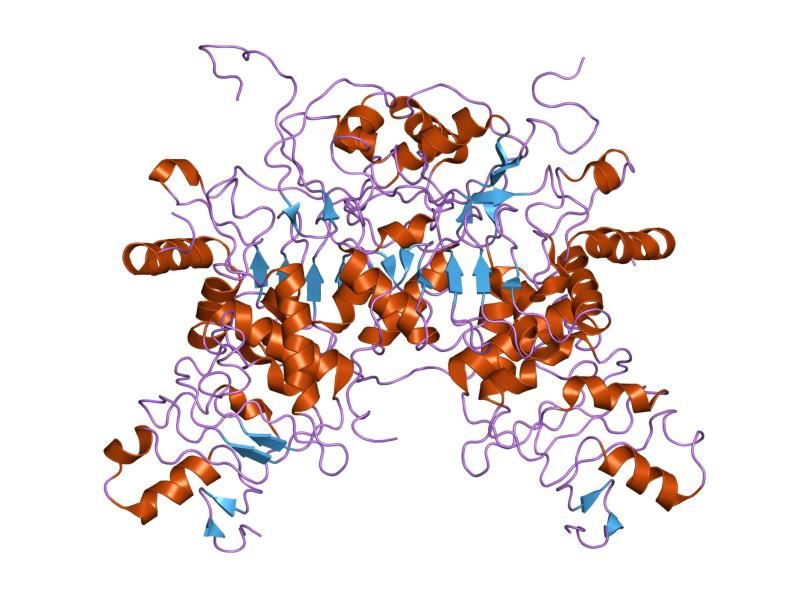 File:PDB 1koh EBI.jpg