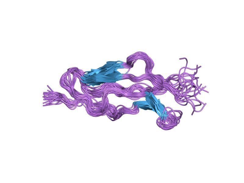 File:PDB 1ppq EBI.jpg