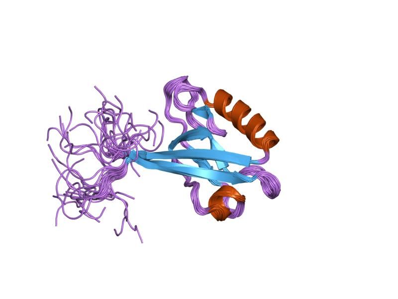 File:PDB 1uep EBI.jpg