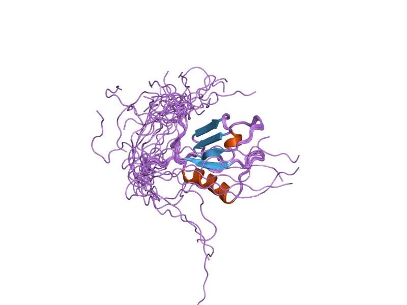 File:PDB 1x4f EBI.jpg