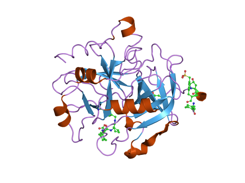 File:PDB 2ank EBI.png