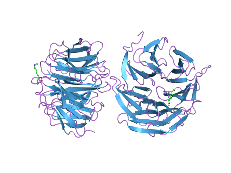 File:PDB 2h6k EBI.png