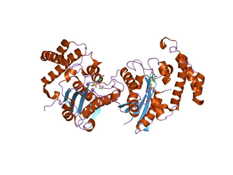 File:PDB 2ido EBI.jpg