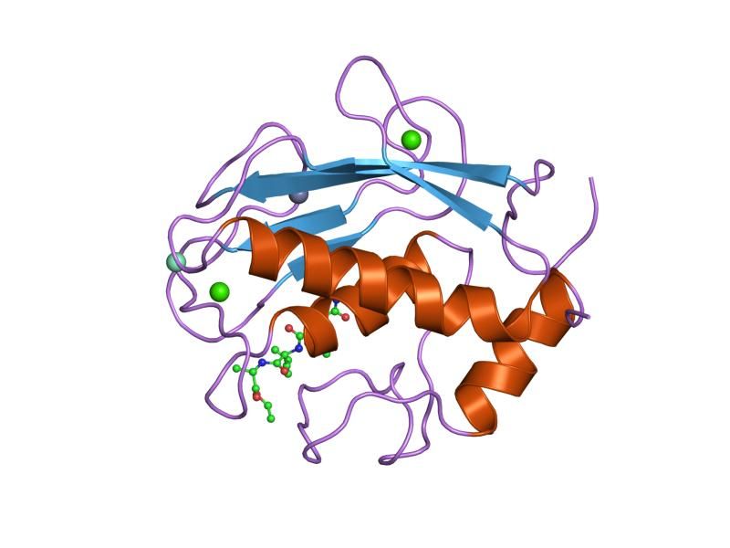 File:PDB 2tcl EBI.jpg