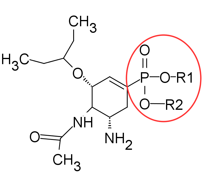 File:Phosphonate analogue.png