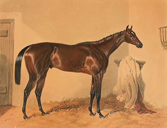 File:Surplice Derby winner.jpg