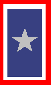 File:The Silver Star Service Banner.png