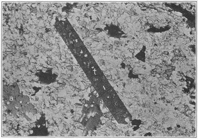 File:Bulletin 799 Plate 2B Antietam Schist photomicrograph.jpg