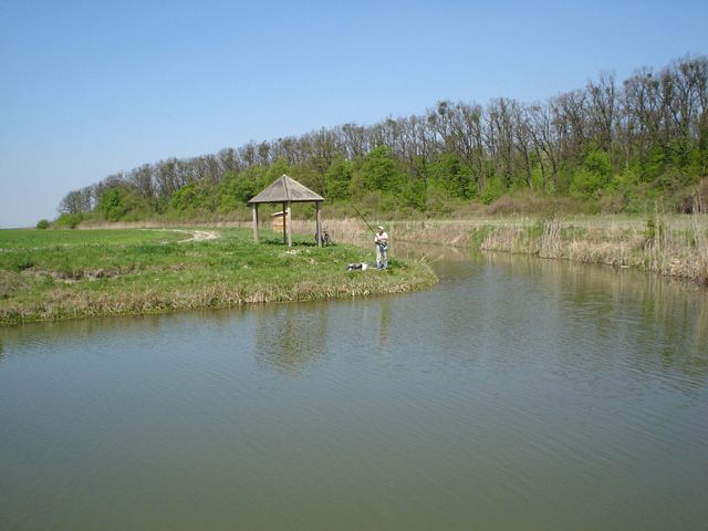 File:Gmajna Fishing Site in Jagodnjak.JPG