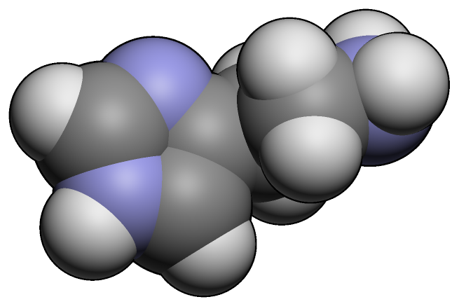 File:Histamine3d.png