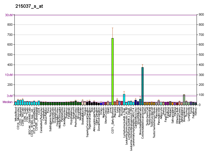 File:PBB GE BCL2L1 215037 s at fs.png