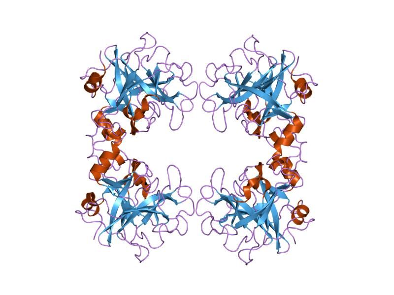 File:PDB 1lto EBI.jpg