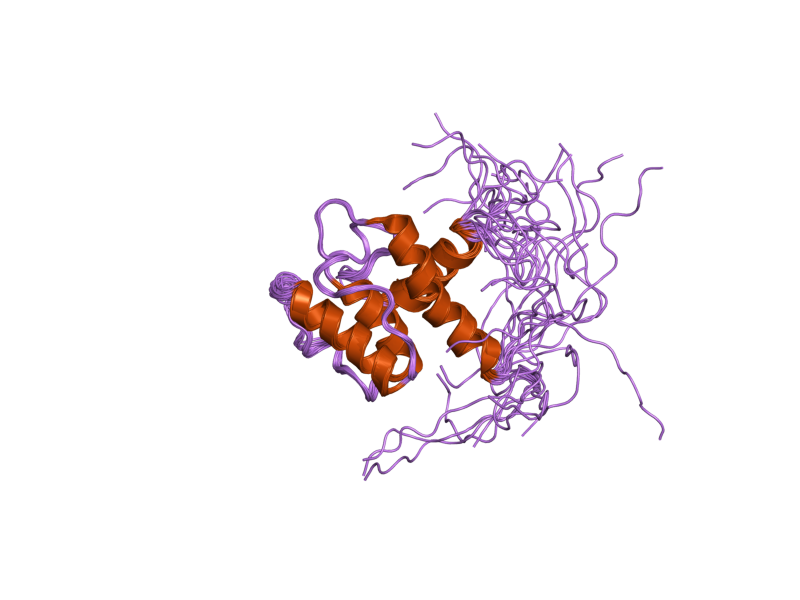 File:PDB 1wyq EBI.png