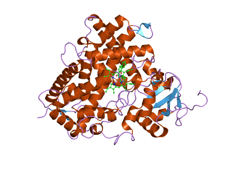 File:PDB 2hi4 EBI.png