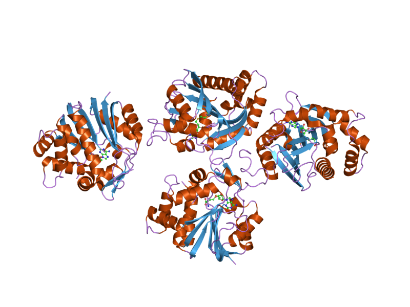 File:PDB 2iip EBI.png