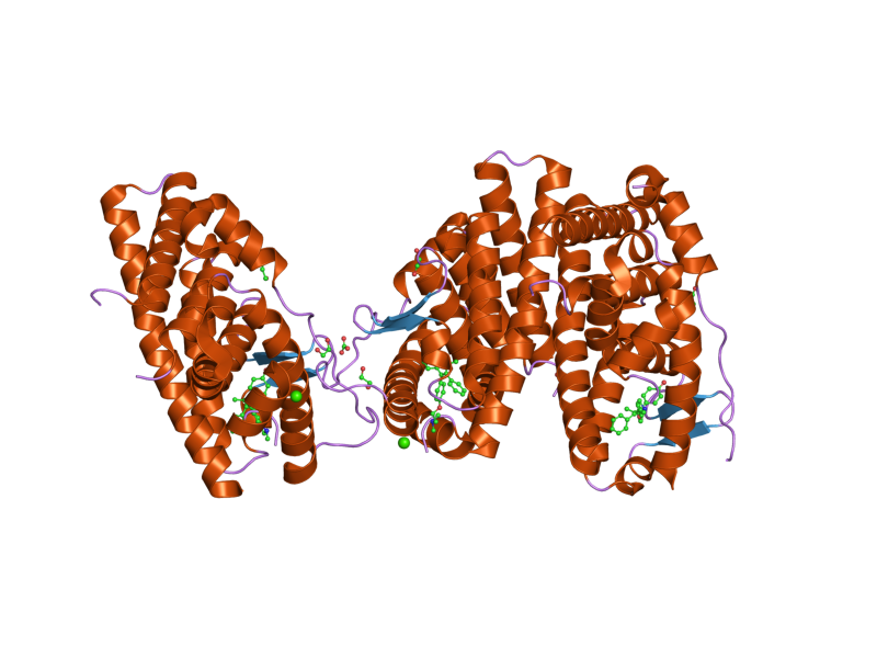 File:PDB 2jf9 EBI.png