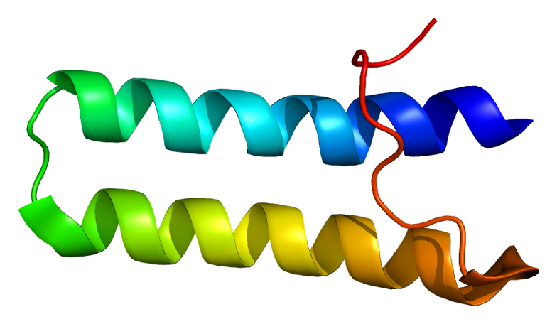 File:Protein EPRS PDB 1fyj.png