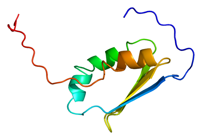 File:Protein FXR1 PDB 2cpq.png