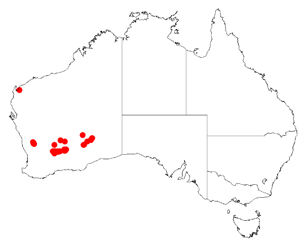 File:Acacia desertorumDistMap280.png