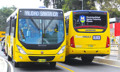 File:Autobús TransPinula.png