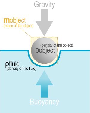 File:Buoyancy.jpg