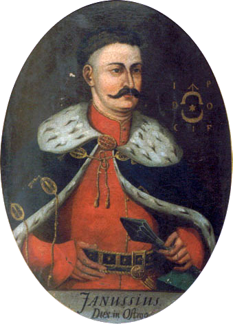 File:Janusz Ostrogski.PNG