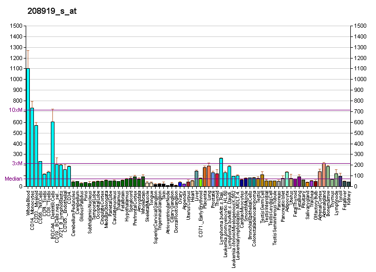 File:PBB GE NADK 208919 s at fs.png