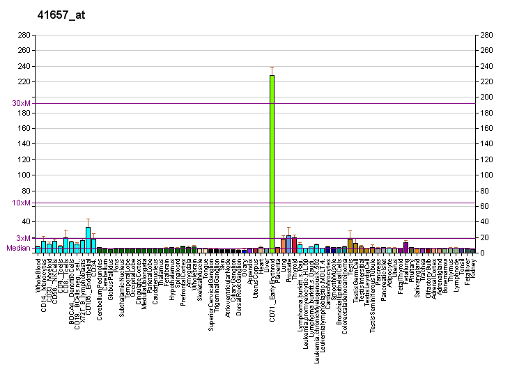 File:PBB GE STK11 41657 at fs.png