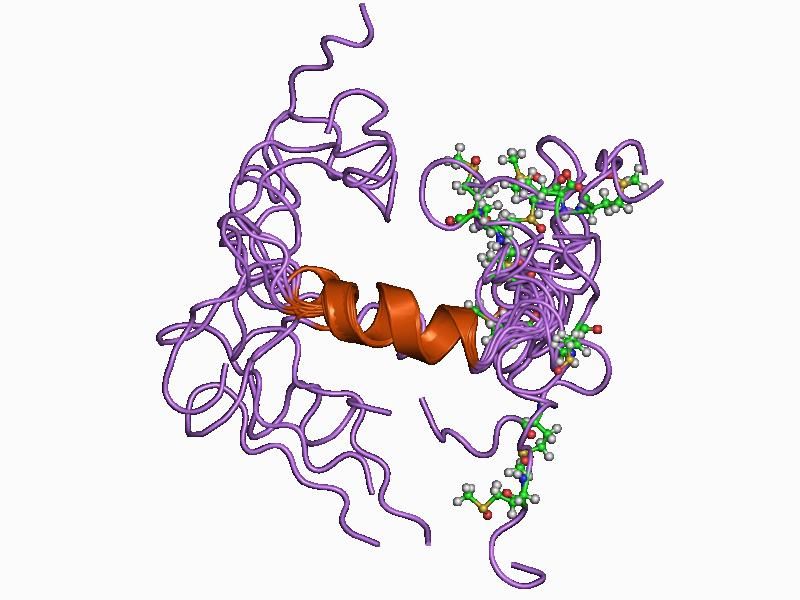 File:PDB 1ba6 EBI.jpg