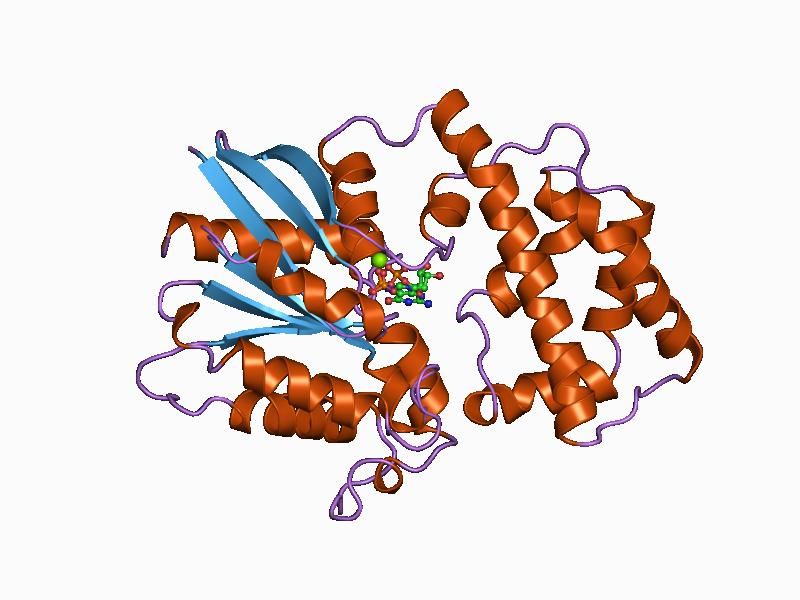 File:PDB 1cip EBI.jpg