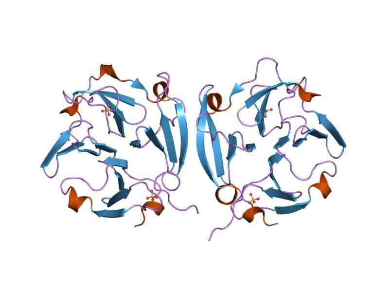 File:PDB 1itv EBI.jpg