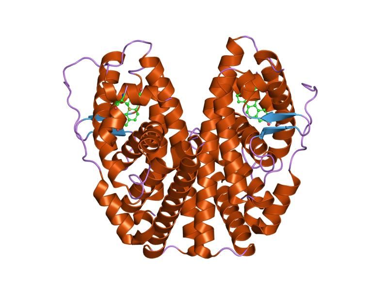 File:PDB 1pcg EBI.jpg