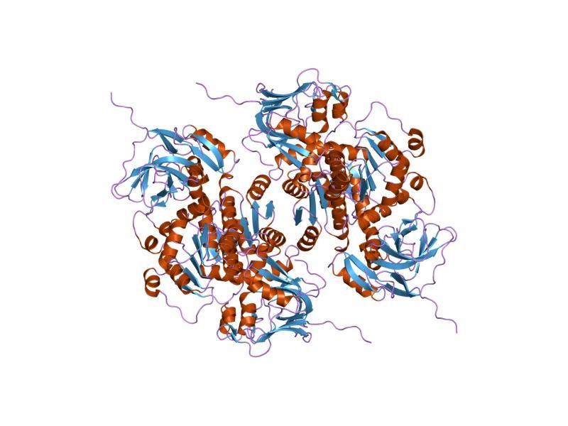 File:PDB 1pl7 EBI.jpg