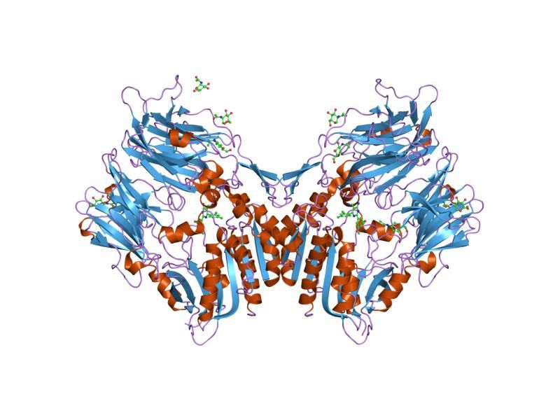 File:PDB 1rwq EBI.jpg