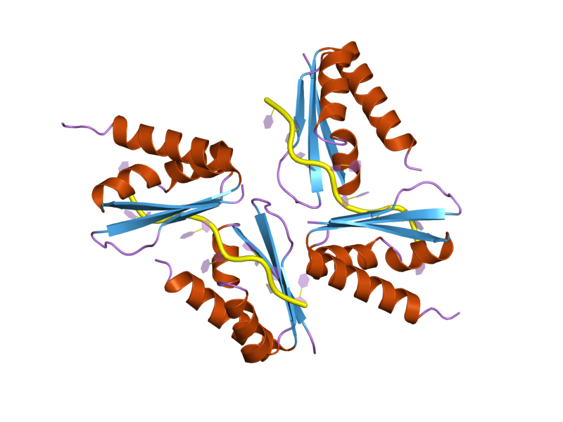 File:PDB 1ztg EBI.png