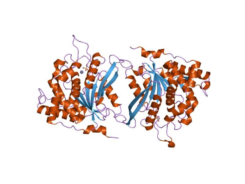 File:PDB 2afs EBI.jpg