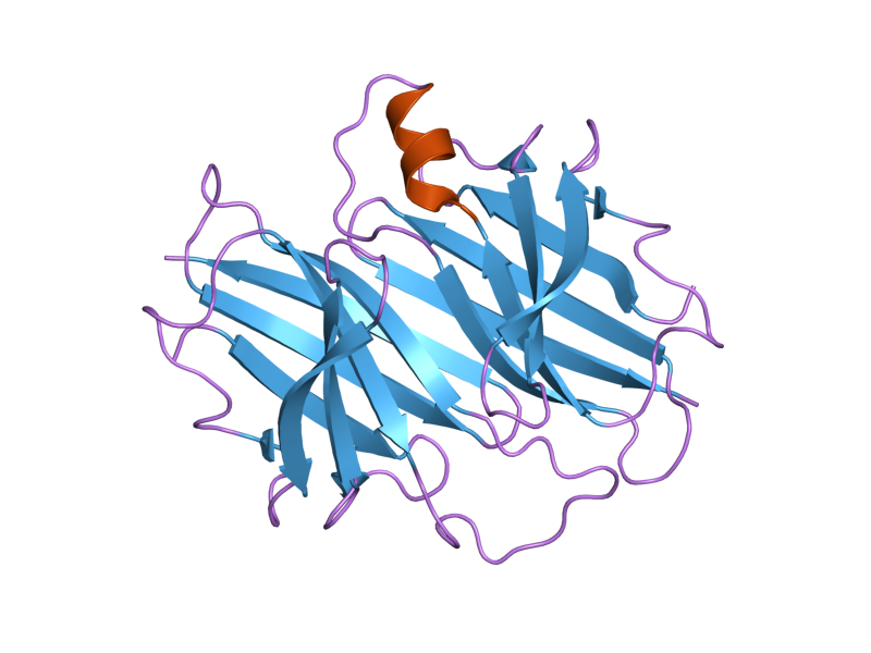 File:PDB 2g3x EBI.png