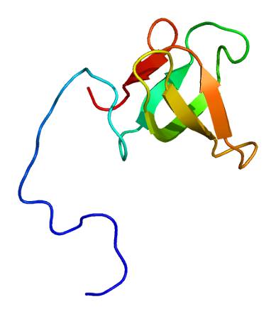 File:Protein SUPT5H PDB 2do3.png