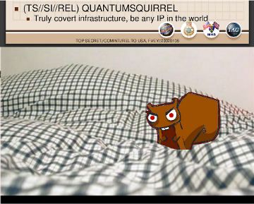 File:QUANTUMSQUIRREL.jpg