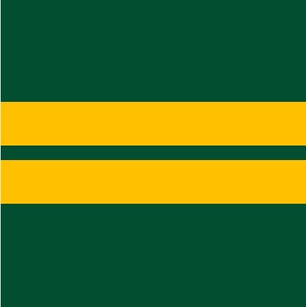 File:St Patricks Old Collegians Football Club colours.jpg